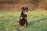 BEAUCERON 1027